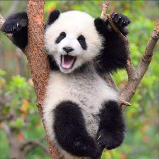 NATURE. Мир вокруг нас 🗺️🏝️