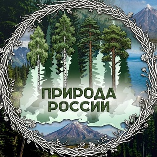 Nature | Природа России