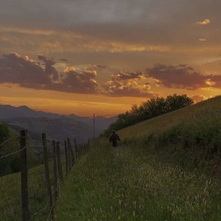 𝑇𝑟𝑎𝑣𝑒𝑙𝑖𝑛𝑔 𝐻𝑒𝑎𝑟𝑡 🌿