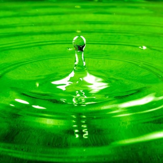 ЧЕЛОВЕК (авторский блог)