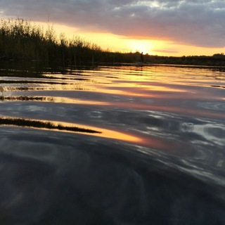 Моё любимое хобби