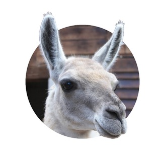 Вы в научпопе!🇦🇷