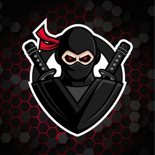 NAUGIRI Компьтерный клуб