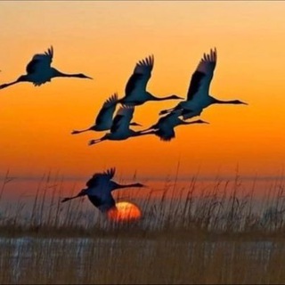 Из Москвы на Хутор