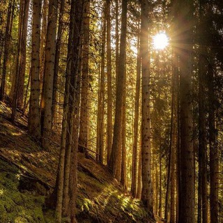 Как назвать канал?