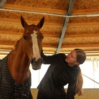 🌻 Ann's life with a horse