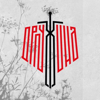 Народная Дружина