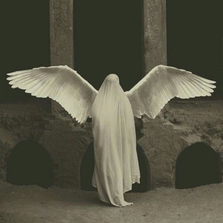 ɴᴇ ɢʀᴜsᴛɪ'