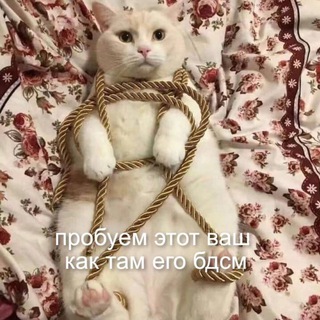 небдсмщица ⛓