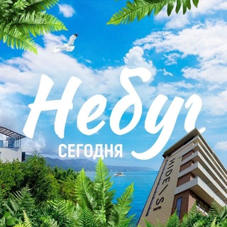 НЕБУГ Сегодня 🐬🐬🐬🐬🐬