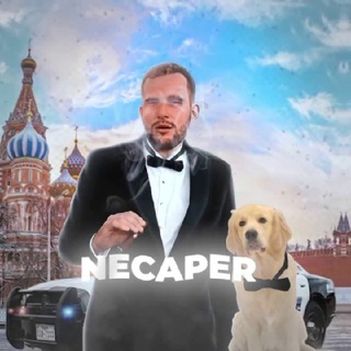 NECAPER 💣 | Ставки на спорт