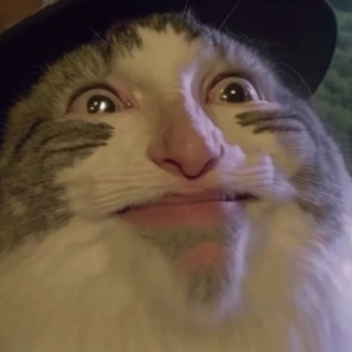 Недомемном