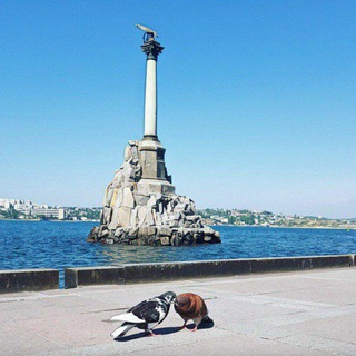 Недвижимость Севастополя. АН Акватория