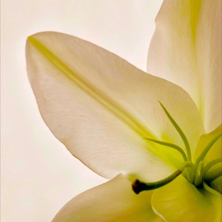 Нельзя молчать