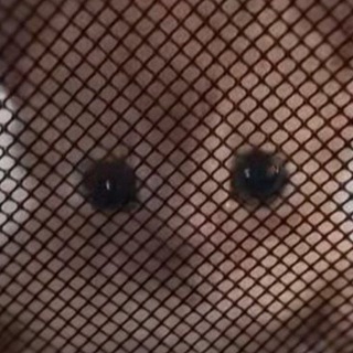 у нас новый канал