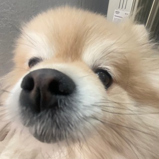 Нефор барахолка Алматы