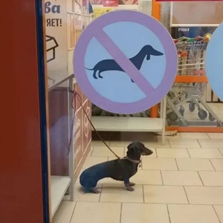 Просто Богданчик