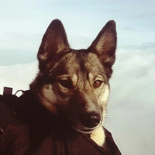 Походы по Крыму и Кавказу: Тургруппа Шабанова