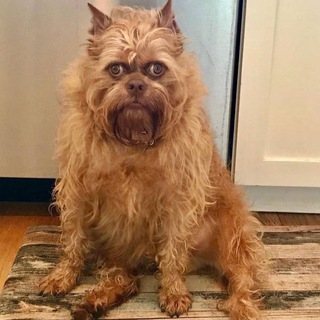 54KARRY ИМПРУВ