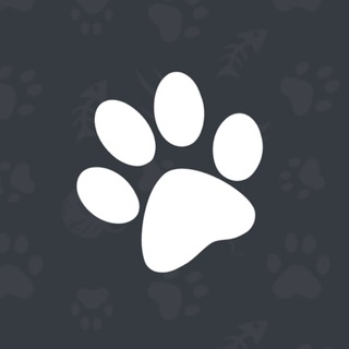 Некохантинг в аниме и не только