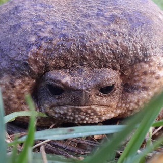 мне не нравится