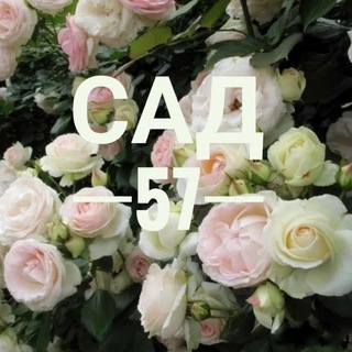 Сад 57