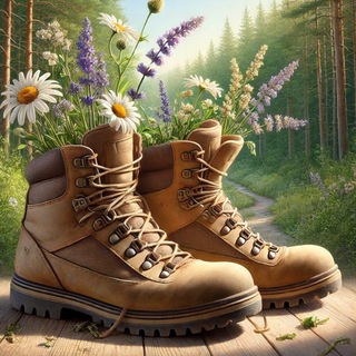 NetWALKERS | на тропе к себе и миру 🌿