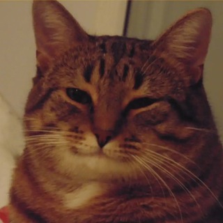 Сплетни невролога