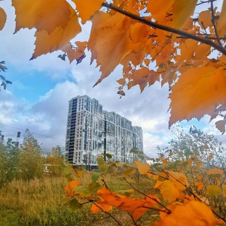 Нева-полис инфо