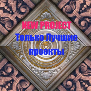 ‼️NEW PROJECT‼️