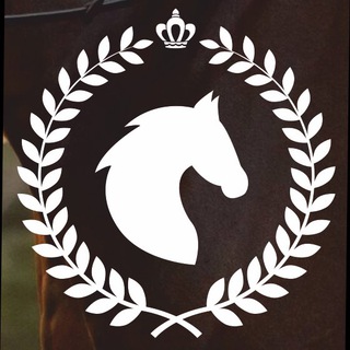 Конный магазин | new-best-horse.com