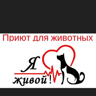 Приют для животных «Я-живой» г.Оренбург