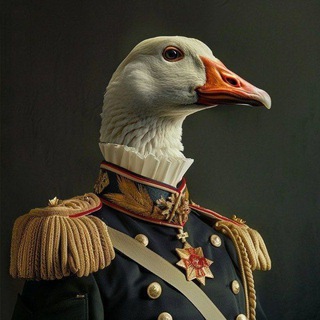 Боевой Гусь