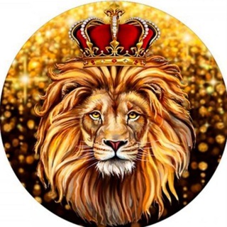 Новий Львiв