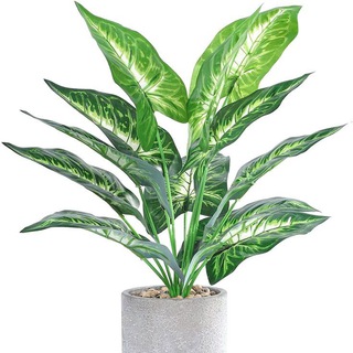 Хоббитируем по жизни