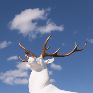 Новости Баяндаевского района