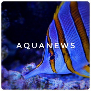 Аква Новости 🐟