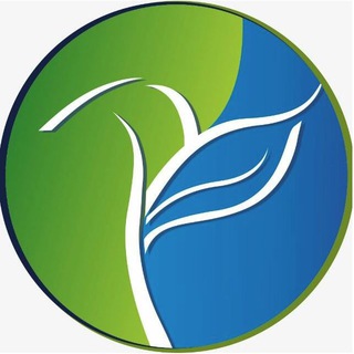 Новая школа. Online.