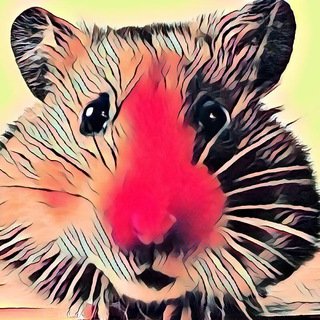 Новости от хомяка