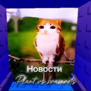 Новости Plants vs Brainrot | Steal a Brainrot:Розыгрыши, Новости и тд