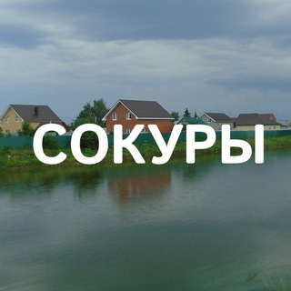 Сокуры | Новые Сокуры