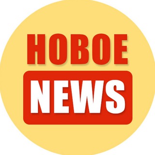новое | news