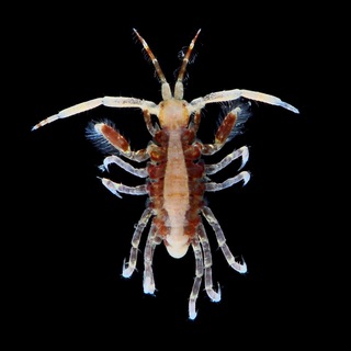 BIO | БИОЛОГИЯ