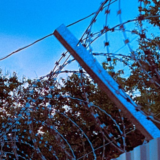 нехудожник.