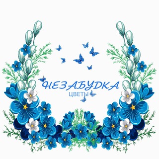 НЕЗАБУДКА🦋 | ЦВЕТЫ НОВОТИТАРОВСКАЯ | КРАСНОДАР