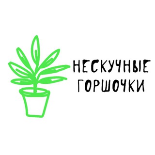 Нескучные горшочки | находки для цветоводов
