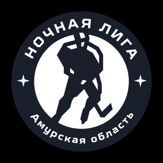 Ночная хоккейная лига | Амурская область