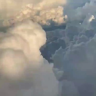 𝓝𝓮𝓫𝓸𝓷𝓲 ☽