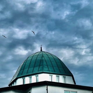 🕌 استمع و اقرا🕌