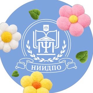 Институт АНО «НИИДПО»